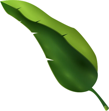 Leaf 2